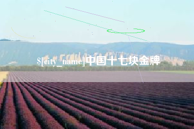 禹州中国十七块金牌