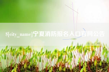 禹州宁夏消防报名入口官网公告
