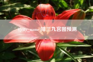禹州排三九宫图预测