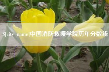 禹州中国消防救援学院历年分数线