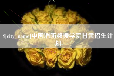 禹州中国消防救援学院甘肃招生计划