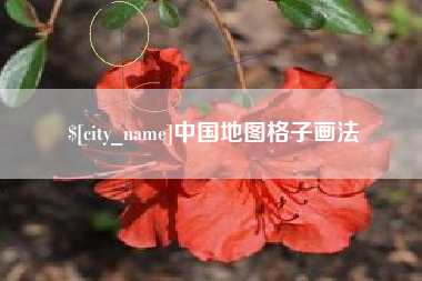 禹州中国地图格子画法