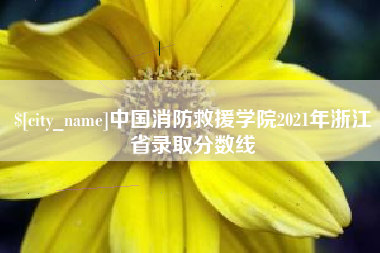 禹州中国消防救援学院2021年浙江省录取分数线