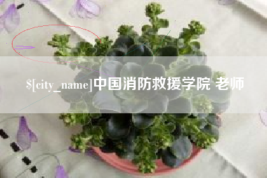 禹州中国消防救援学院 老师