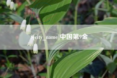 禹州中国第9金