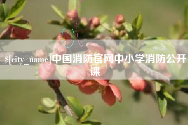 禹州中国消防官网中小学消防公开课