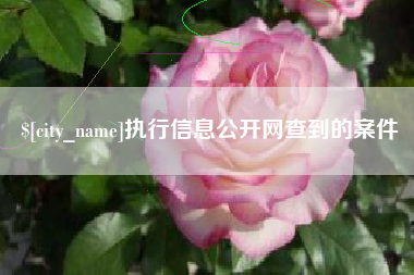 禹州执行信息公开网查到的案件