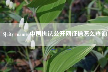 禹州中国执法公开网征信怎么查询