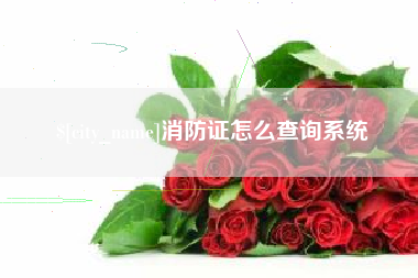 禹州消防证怎么查询系统