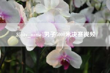 禹州男子5000米决赛视频