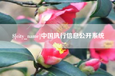 禹州中国执行信息公开系统