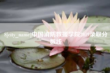 禹州中国消防救援学院2019录取分数线