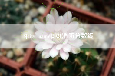 禹州2021消防分数线
