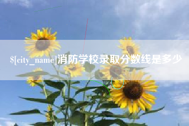 禹州消防学校录取分数线是多少