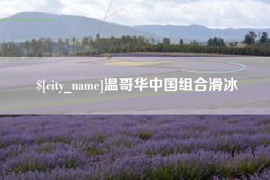 禹州温哥华中国组合滑冰