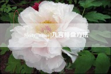 禹州九宫排盘方法