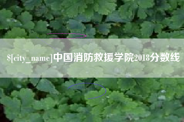 禹州中国消防救援学院2018分数线