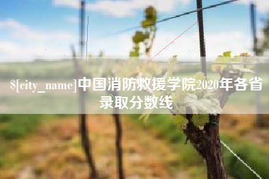 禹州中国消防救援学院2020年各省录取分数线