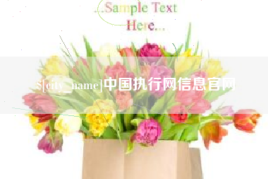 禹州中国执行网信息官网