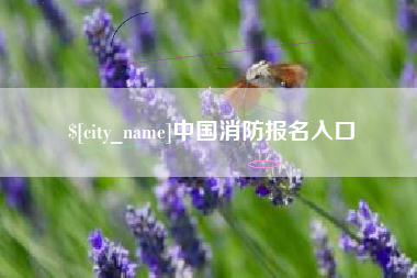 禹州中国消防报名入口