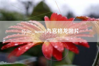 禹州九宫格龙图片