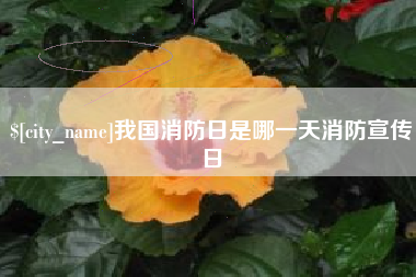 禹州我国消防日是哪一天消防宣传日