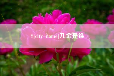 禹州九金是谁