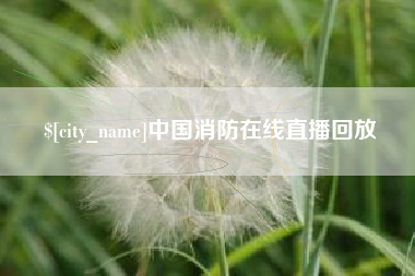 禹州中国消防在线直播回放