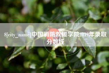 禹州中国消防救援学院2019年录取分数线