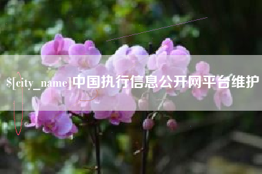 禹州中国执行信息公开网平台维护