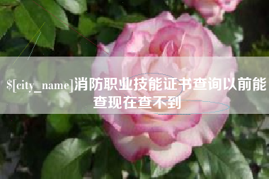 禹州消防职业技能证书查询以前能查现在查不到
