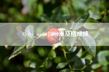 禹州5000米及格成绩