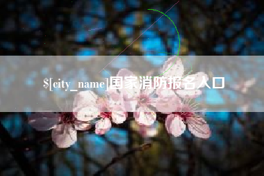 禹州国家消防报名入口