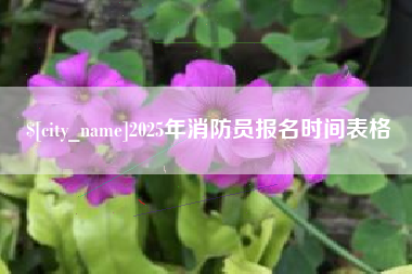 禹州2025年消防员报名时间表格