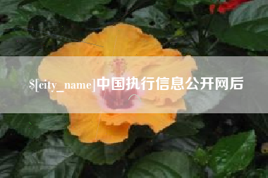 禹州中国执行信息公开网后