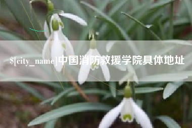 禹州中国消防救援学院具体地址