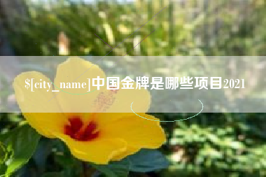 禹州中国金牌是哪些项目2021