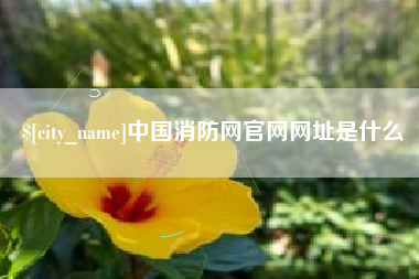 禹州中国消防网官网网址是什么
