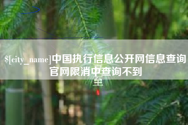 禹州中国执行信息公开网信息查询官网限消中查询不到