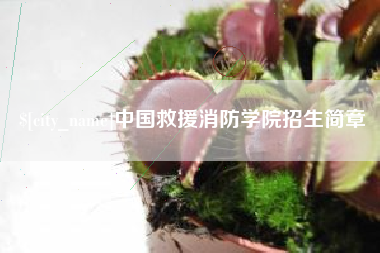 禹州中国救援消防学院招生简章