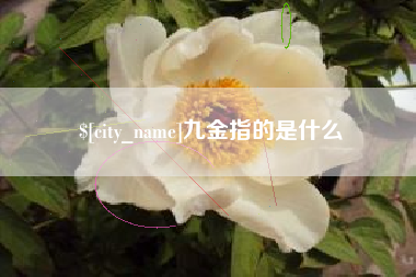 禹州九金指的是什么