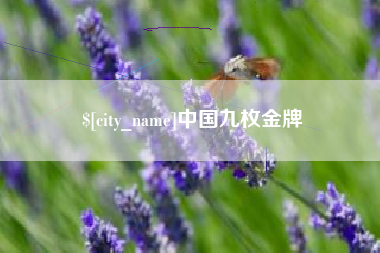 禹州中国九枚金牌