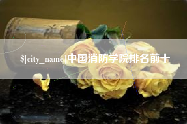 禹州中国消防学院排名前十