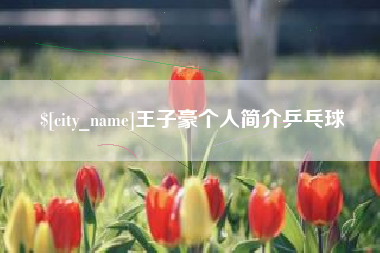 禹州王子豪个人简介乒乓球