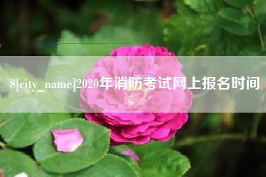 禹州2020年消防考试网上报名时间