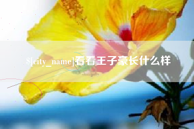 禹州看看王子豪长什么样