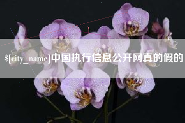 禹州中国执行信息公开网真的假的