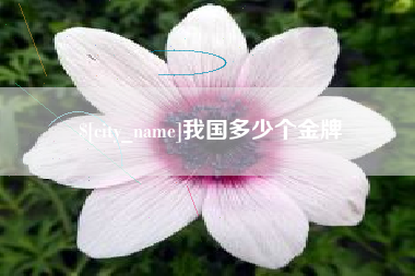 禹州我国多少个金牌