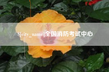禹州全国消防考试中心