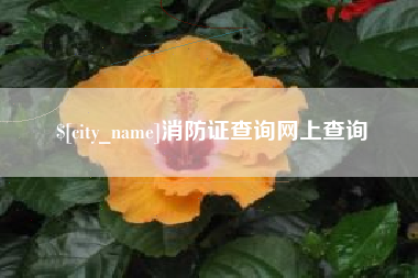 禹州消防证查询网上查询